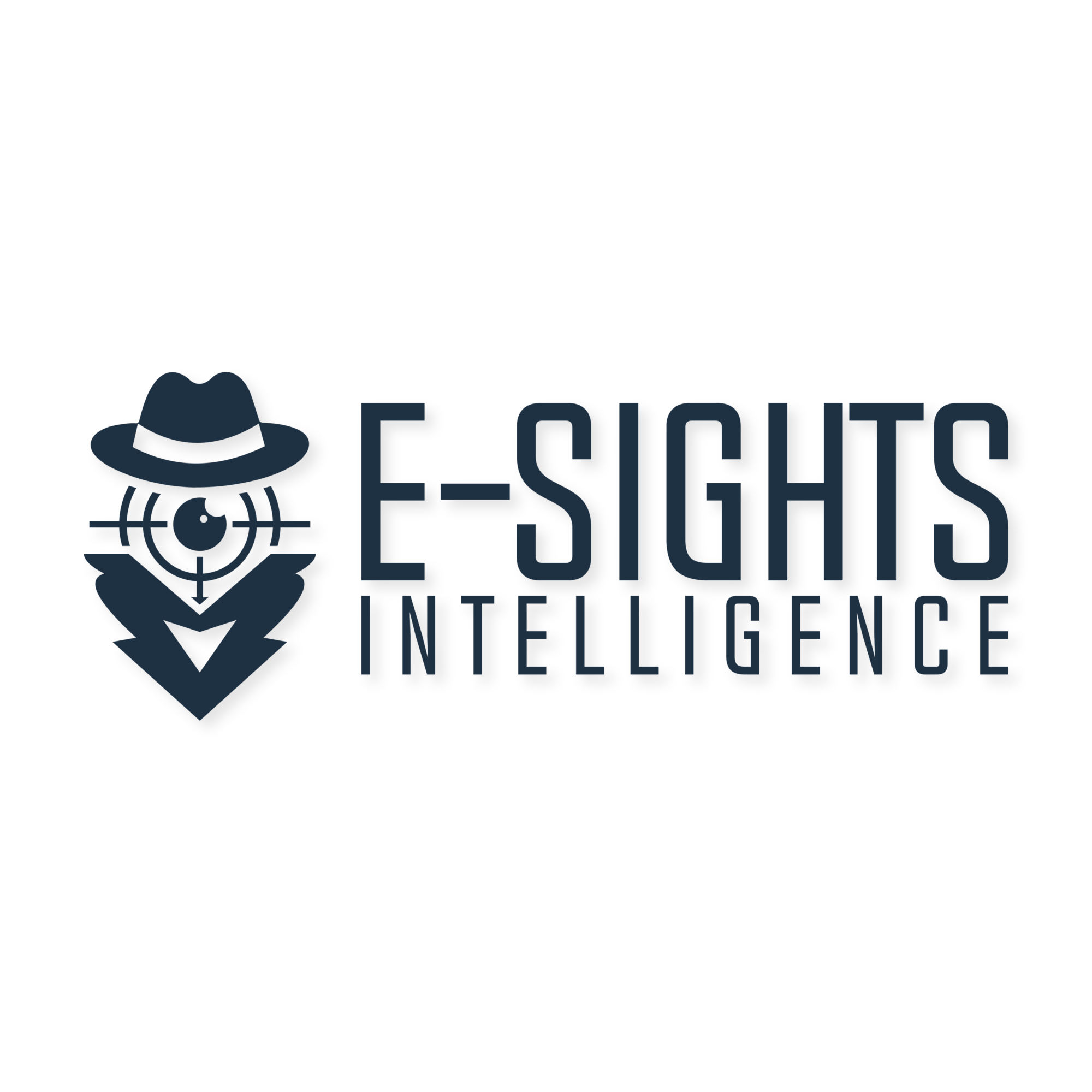 e-Sights Intelligence